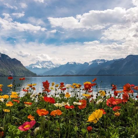 Calming views of the Swiss Alps and Lake Léman. 😍  ⠀ Spring Landscape Photography, Best Countries To Visit, World Most Beautiful Place, Adventure Travel Explore, Dream Vacations Destinations, Spring Landscape, Flower Landscape, Swiss Alps, Landscape Pictures