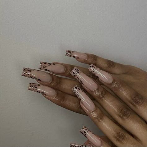 Cheetah Acrylic Nails, Cheetah Nail Designs, 3d Nail Art Designs, Long Stiletto Nails, Zebra Nails, Cheetah Nails, Leopard Nails, Really Cute Nails, Trendy Nail Design