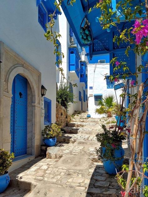 Sidi Bou Said Tunisia, Tunisia Africa, Africa Architecture, Morocco Aesthetic, Mediterranean Aesthetic, Sidi Bou Said, Architecture Aesthetic, African Travel, Houses Architecture