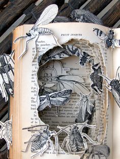 Book sculpture Arte Peculiar, Altered Book Art, Book Sculpture, Bugs And Insects, Paper Book, Handmade Books, Book Projects, Open Book, Paper Sculpture