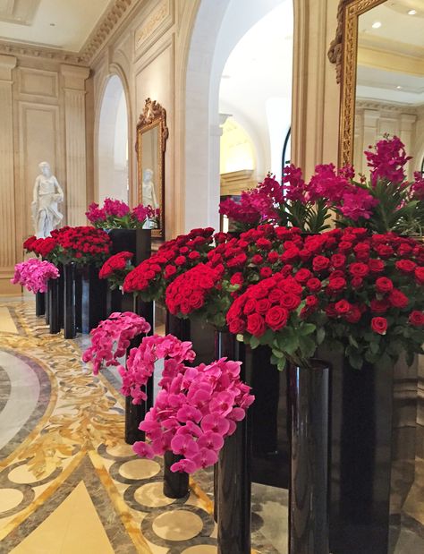 Jeff Leatham Flowers, V In Paris, Tall Vase Arrangements, Jeff Leatham, Paris Flowers, Floral Arrangements Wedding, Annual Flowers, Phalaenopsis Orchid, Wedding Flower Arrangements