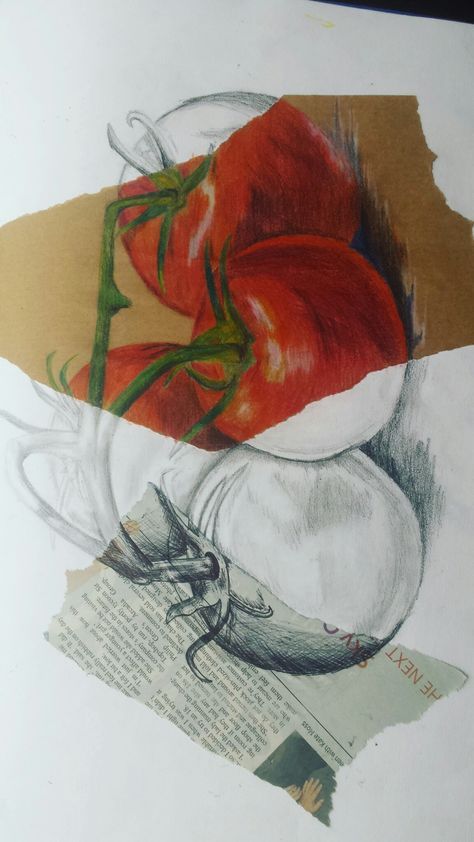 Tomato Drawing, Some Drawings, الفن الرقمي, Gcse Art Sketchbook, Arte Sketchbook, Art Inspiration Painting, Painting Art Projects, Book Art Drawings, Sketchbook Art Inspiration