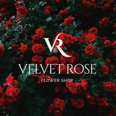 Designs that stand the test of time ⏳ Brand Identity designs for VELVET ROSE 🌹 Brand Identity Design Service Includes: Primary Logo Alternate Logo Brand Mark Brand Board (includes brand colors and typography). _  Ready to take your brand up a notch in 2024? Click the link in bio for bookings. - TAGS #graphicdesign #branddesign #smallbusinessbranding #flowershop #logotype #eaxdesigns Brand Mark, Rose Brand, Velvet Rose, Small Business Branding, Brand Board, Brand Identity Design, Brand Colors, Identity Design, Flower Shop