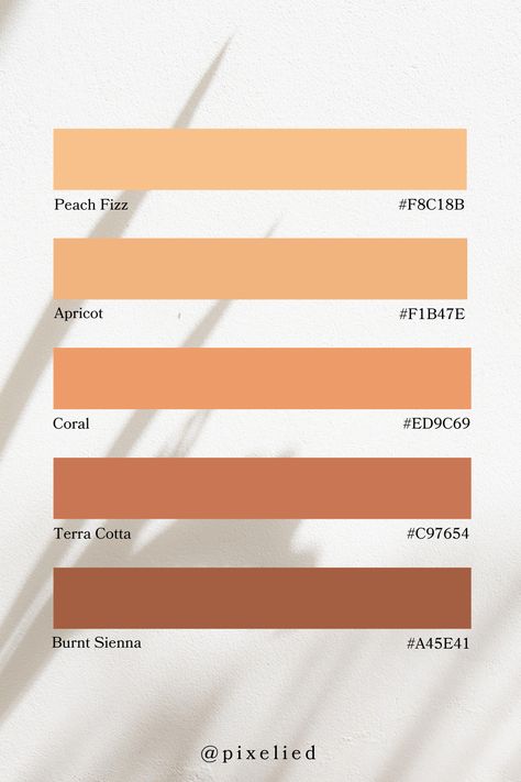 This peach pastel color palette showcases a series of warm, inviting tones, moving from light sand and peach fizz to deeper shades of terra cotta and burnt sienna. These colors evoke a sense of comfort and earthiness, perfect for creating a cozy and welcoming atmosphere. Color Scheme Generator, Earth Colour Palette, Color Generator, Flip Image, Earth Tone Color Palette, Blur Image, Earth Tone Color, Color Picker, Pastel Colour Palette