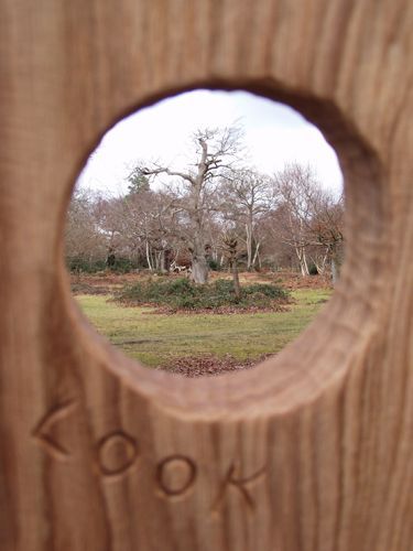 Sensory Trail, Outdoor Playscapes, Horticultural Therapy, Trail Ideas, Eagle Project, Outdoor Learning Spaces, Bush Garden, Nature Education, Nature Projects