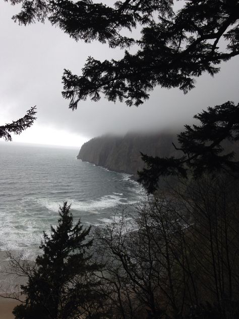 Foggy forest side and a beach Beach With Forest, Forest Ocean Aesthetic, Ocean Forest Aesthetic, Foggy Rocky Beach, Foggy Coast Aesthetic, Forest And Beach Aesthetic, Forest And Sea Aesthetic, Forest Beach Aesthetic, Beach Forest Aesthetic