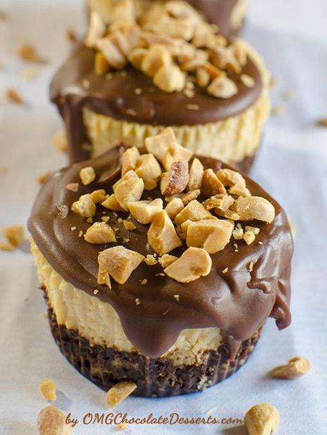 Peanut Butter Cheesecake Recipes, Dessert Mini, Chocolate Peanut Butter Cheesecake, Chocolate Graham Crackers, Peanut Butter Cheesecake, Peanut Butter Desserts, Oreo Dessert, Think Food, Mini Cheesecakes