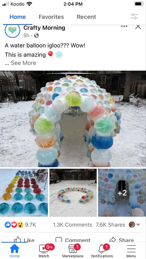 Balloon Igloo, Frozen Water Balloons, Brookies Cookies, Busy Mom Recipes, Fun Group, Water Balloons, Winter Fun, The Balloon, Food Coloring