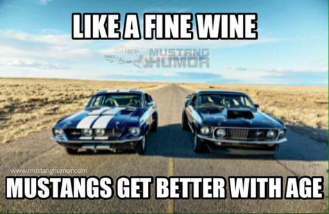 Mustang Humor Mustang Humor, Car Memes, Get Well, Muscle Cars, Cool Cars, Mustang, Humor, Cars, Memes