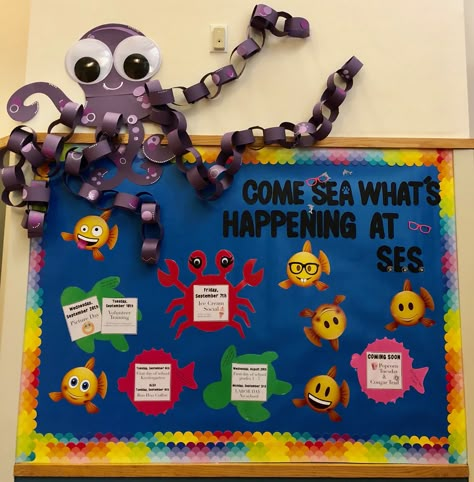 Pta Decoration Ideas, Easy Bulletin Boards Elementary, What’s Happening Bulletin Board, Parent Night Bulletin Board, Pta Bulletin Board Ideas Welcome Back, Join Pta Bulletin Board Ideas, Whats Happening Bulletin Board Ideas, Elementary School Display Case Ideas, Upcoming Events Bulletin Board