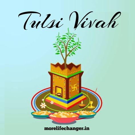 Tulsi Vivah Thriving Quotes, Sacred Marriage, Tulsi Vivah, Tulsi Plant, Hindu Calendar, Sacred Threads, Divine Grace, Holy Basil, The Hindu