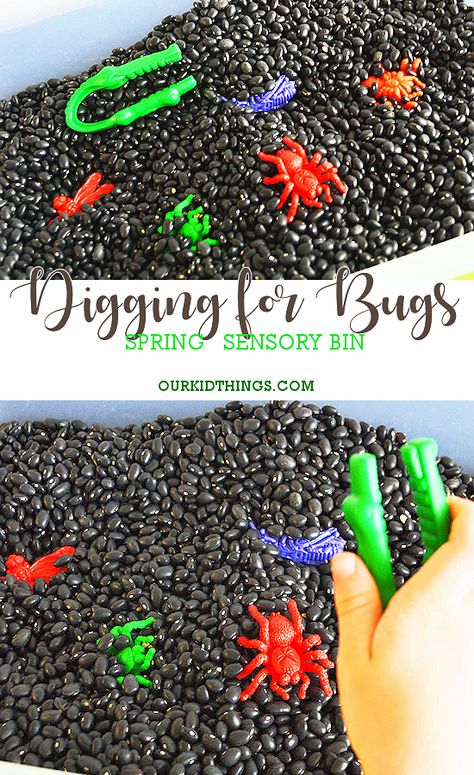 Digging For Bugs Spring Sensory Bin #spring #sensorybin #bugs Bug Themed Sensory Activities, Sensory Bin For School Age, Bug Activities For Infants, Outdoor Sensory Bin Ideas, Monthly Sensory Bins, Spring Sensory Bins For Preschool, Insect Sensory Bin Preschool, May Sensory Bin Ideas, Diy Sensory Bin Table