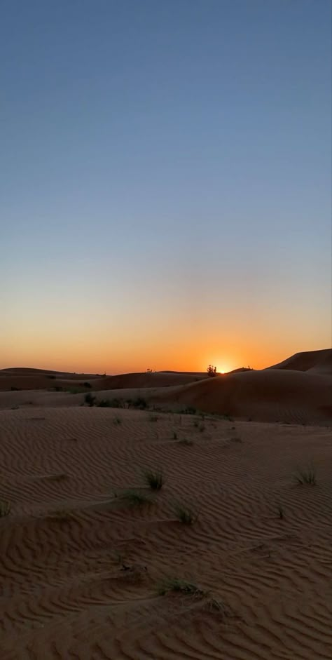 Arabian Desert Aesthetic, Sky Dubai, Egypt Aesthetic, Desert Aesthetic, Dubai Vacation, Dubai Aesthetic, Aesthetic Pretty, Dubai Desert, Travel Pictures Poses