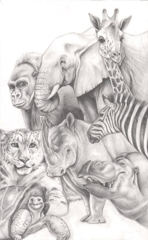 Coloring for adults - Kleuren voor volwassenen Grayscale Coloring, Animals Artwork, Animal Sketches, Arte Animal, African Animals, Animal Coloring Pages, Animal Tattoos, Wildlife Art, Coloring Pictures