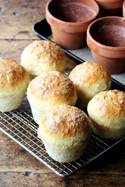 About a month ago, a friend texted me a photo of an adorable loaf of bread baked in a flowerpot. She was at Terrain’s garden café in Westport, CT, which looks as magical as the pages of its catalog. I immediately picked up half a dozen small flowerpots from a local garden shop and gave the... Flowerpot Bread, Flower Pot Bread, Pot Bread, Peasant Bread, Bread Crackers, No Rise Bread, Bread Mix, Yeast Breads, Flat Bread