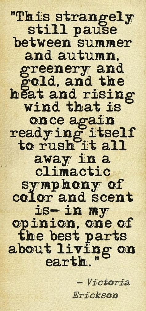 Labor Day marks the end of a season Victoria Erickson, Quotable Quotes, A Quote, The Words, Great Quotes, Beautiful Words, Cool Words, Wise Words, Favorite Quotes