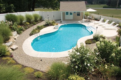 Pool Screen Enclosure, Landscaping Around Pool, Tropical Pool Landscaping, Pool Landscaping Ideas, Inground Pool Landscaping, Simple Pool, Swimming Pool Landscaping, Pool Landscape Design, Tropical Pool