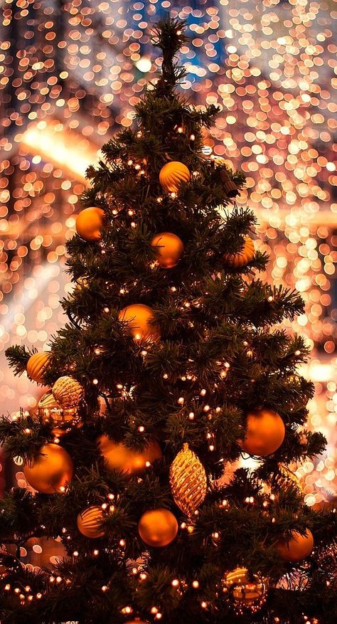 ♥ Classic Christmas Tree, Orange Christmas, Christmas Time Is Here, Christmas Feeling, Christmas Mood, Decorations Christmas, Christmas Love, Christmas Aesthetic, Christmas Joy