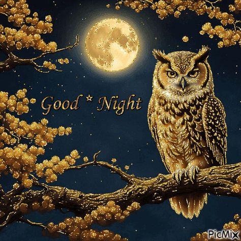 Good Night Owl and the Moon Goodnight Gif Sweet Dreams Good Night, Good Night Images New Good Night Images, Good Night Gifs Animation, Good Night Gifs Funny, Good Night Gifs, Goodnight Gif, Goodnight Images, New Good Night Images, Good Night Beautiful