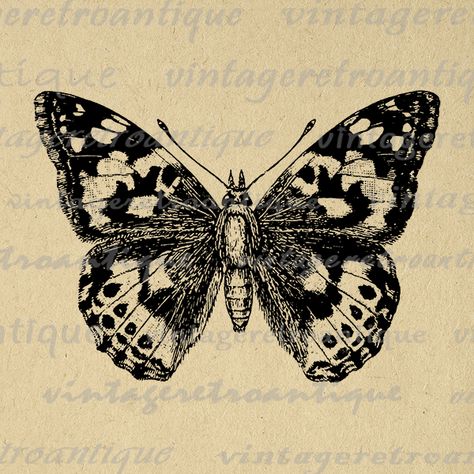 Painted-Lady Butterfly Graphic Digital Download Illustration Image Printable Vintage Clip Art  @ vintageretroantique.com #Printable #Digital #Image #Art #VintageRetroAntique #Clipart #Download #Vintage #Antique #Artwork #Illustration Printable Butterflies, Printable Butterfly, Vintage Clip Art, Vintage Clipart, Illustration Tattoo, Butterfly Printable, Butterfly Images, Antique Artwork, Butterfly Illustration