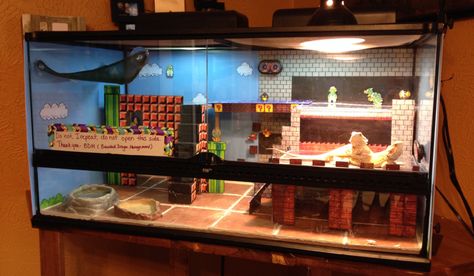 Redecorated my bearded dragons, Peach and Daisy, cage. Increased the size and done in a retro Mario theme. Breaded Dragon, Bearded Dragon Diy, Dragon Pet, Bearded Dragon Enclosure, Bearded Dragon Cage, Bearded Dragon Habitat, Bearded Dragon Tank, Bearded Dragon Diet, Mario Theme