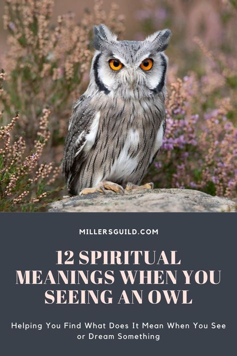 12 Spiritual Meanings When You Seeing an Owl Great Horned Owl Spiritual Meaning, Owl Totem Meaning, Owl Sighting Meaning, Seeing Owl Spiritual Meaning, White Owl Meaning, Spiritual Meaning Of Owls, Seeing An Owl Meaning, Owl Omen Meaning, Owl Meaning Spiritual