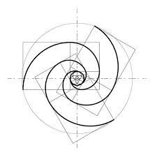 Golden Ratio Tattoo, Golden Ratio Spiral, Fibonacci Art, Golden Ratio In Design, Golden Ratio Logo, Golden Proportion, Fibonacci Tattoo, Divine Proportion, Fibonacci Spiral