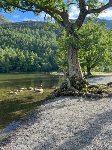 Lake District Aesthetic, In The Beginning God, Genius Loci, Uk Photography, English Countryside, Lake District, Pretty Places, Places Around The World, Summer Activities