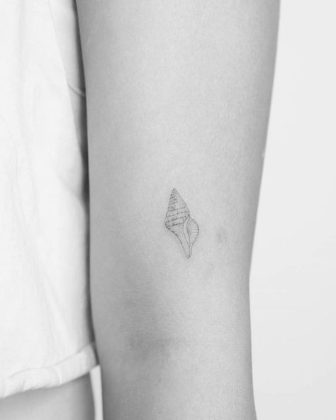 Single needle tulip shell tattoo located on the upper Sims 4 Small Tattoos, Sea Shell Tattoos For Women, Small Shell Tattoo, Tattoo Shell, Sea Shell Tattoo, Sea Tattoos, Small Turtle Tattoo, Shark Tooth Tattoo, Seashell Tattoo