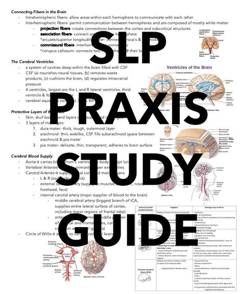 Speech Pathology Grad School, Slp Praxis, Speech Language Pathology Grad School, Slp Student, Peachie Speechie, Praxis Study, Speech Language Pathology Assistant, Praxis Test, Slp Materials