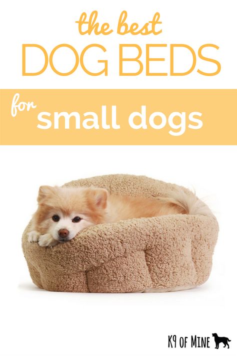 The 6 best dog beds for small breeds, made for petite pooches! Dog Supplies Storage, Dog Supplies Organization, Small Pet Bed, Donut Dog Bed, Best Dog Beds, Puppy Beds, Dog Sofa Bed, Health Hacks, Memory Foam Dog Bed