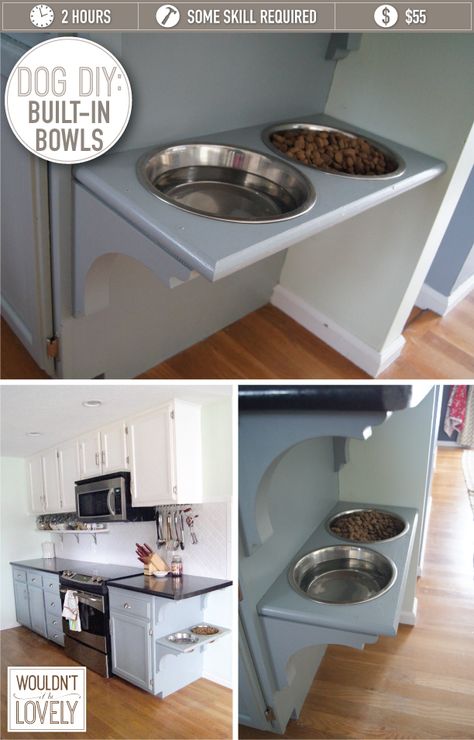 Pet Food Station, Katt Diy, Dog Station, Dog Food Station, Pet Feeding Station, Elevated Dog Feeder, Dog Feeding Station, Dogs Diy Projects, Diy Dog Food