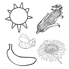 One of the best ways to start teaching your child learn a variety of skill by providing them with free printable preschool coloring pages to sharpen the mind Color Worksheets For Preschool, Color Activity, Yellow Things, Yellow Crafts, Preschool Coloring Pages, Colouring Sheets, Worksheets Preschool, Teaching Colors, Bear Brown