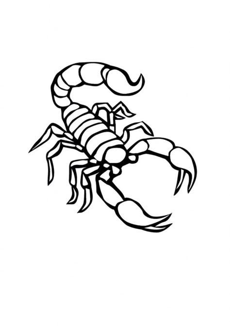 Scorpion Coloring Pages Scorpion Stencil, Scorpio Tattoo, Desert Animals, Scorpion Tattoo, Poke Tattoo, Arthropods, Tattoo Flash Art, Tattoo Outline, Animal Coloring Pages