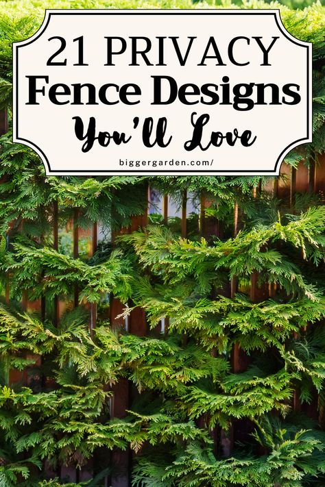 Looking for privacy fence ideas? Explore 21 options, including DIY yard fence cheap options and deck privacy fence ideas. Learn how to build privacy fences and create a private yard on a budget. Privacy Barrier Ideas, Privacy Fence Ideas With Plants, Diy Backyard Privacy, Aluminum Fence Ideas, Privacy From Neighbors, Backyard Privacy Fence, Privacy Fence Ideas, Fence Trees, Glass Fence