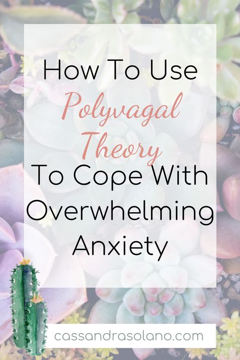 Have you ever felt like you were being pulled in a million directions and just one more thing was going to push you past your breaking point? Although our bodies naturally respond with "fight or flight," there's another option. Click to find out how Polyvagal Theory can help you cope and overcome the overwhelm!  #copingskills #anxietyresources #polyvagaltheory Polyvagal Theory Exercises, Polyvagal Theory, Post Grad Life, Breaking Point, Inner Child Healing, Natural Sleep Remedies, Vagus Nerve, Natural Cold Remedies, Cold Home Remedies