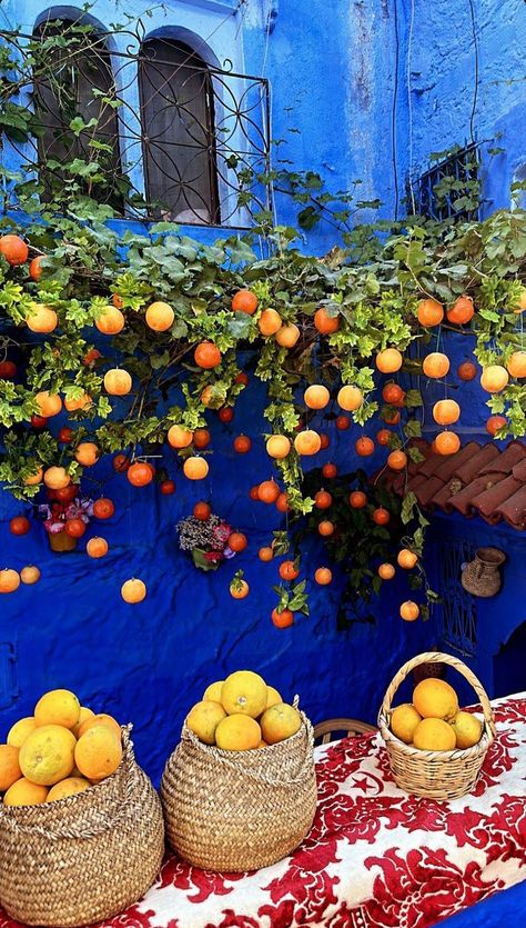 #morocco #blue #city #discover #travel #trip #marokko #visit #photo #aesthetic #المغرب #chaouen Chefchaouen Morocco Aesthetic, Marrakech Morocco Aesthetic, Morocco Casablanca, Morocco Aesthetic, Moroccan Aesthetic, Quote Travel, Morocco Marrakech, Casablanca Morocco, Moroccan Culture