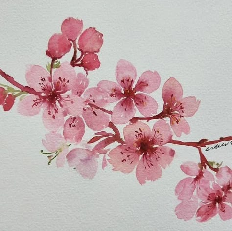 Painting Orchids, Sakura Painting, Cherry Blossom Watercolor, Cherry Blossom Painting, Watercolor Flower Art, Watercolor Art Lessons, Art Prompts, Flower Art Painting, Watercolor Flower