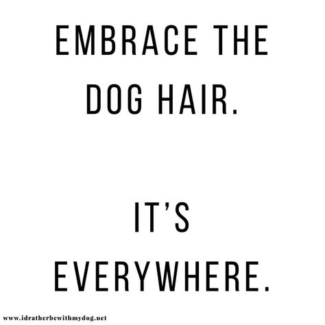 Dog Owner Quotes, Daycare Quotes, Owner Quotes, Hair Quotes Funny, Mama Quotes, Golden Retriever Art, Doggy Daycare, Sticker Machine, Inspo Quotes