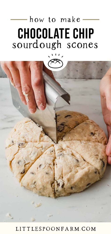 Chocolate Chip Sourdough, Little Spoon Farm, Sourdough Chocolate Chip Cookies, Sourdough Scones, Recipe Using Sourdough Starter, Dough Starter, Sourdough Starter Discard Recipe, Homemade Sourdough Bread, Sourdough Starter Recipe