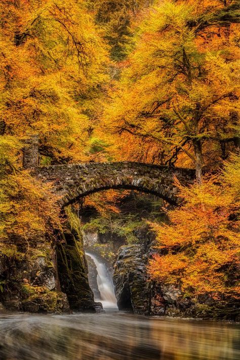 Autumn at the Hermitage, Dunkeld, Scotland Fall In Scotland, Nature Clips, Autumn Poetry, Gods Masterpiece, Countryside Aesthetic, Magical Autumn, Autumn Witch, Harvest Blessings, Autumn Magic