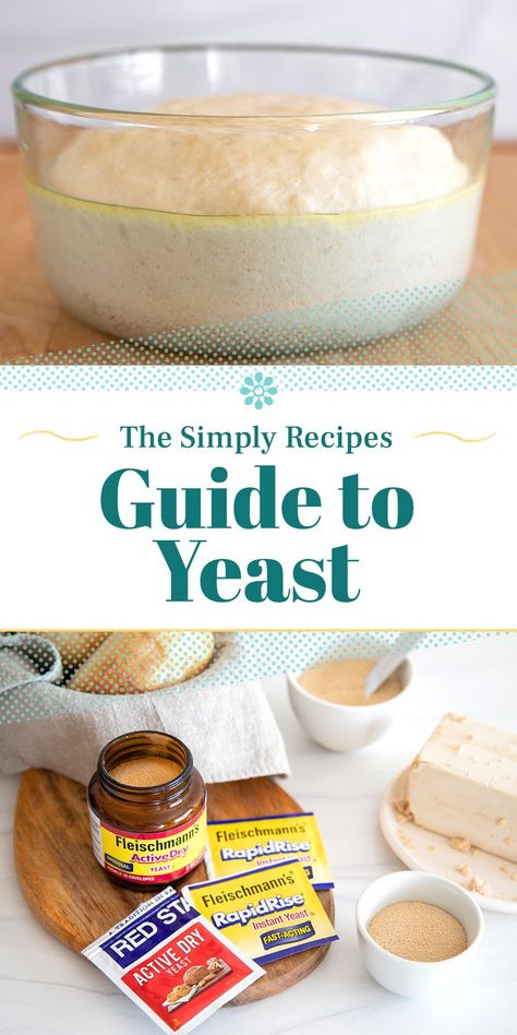 Bread Recipes With Yeast Packet, How To Use Yeast, Fleischmann's Active Dry Yeast Recipes, Yeast Recipes Baking, Fleischmann's Rapid Rise Yeast Recipes, Cuisinart Recipes, Yeast Dough Recipe, Fresh Yeast, Bakers Yeast