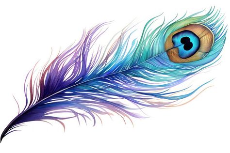 Peacock feather pattern bird. AI generated Image by rawpixel. | premium image by rawpixel.com / Saveshitz Peacock Feather Clipart, Watercolor Peacock Feather, Feather Png, Feather Watercolor, Peacock Feather Pattern, Watercolor Peacock, Peacock Drawing, Feather Illustration, Feather Logo