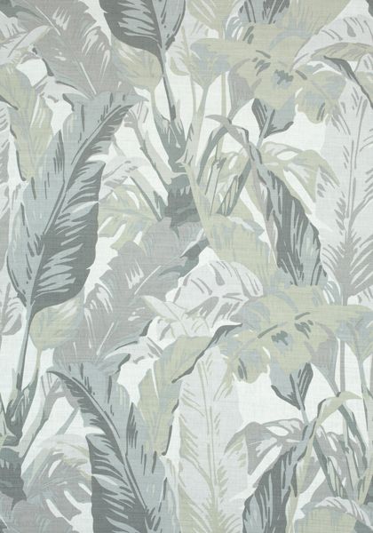 Anna French Wallpaper, Travelers Palm, Fabric Texture Pattern, Travellers Palm, French Wallpaper, Anna French, Wallpaper For Wall, Matching Wallpaper, Fabric Sale