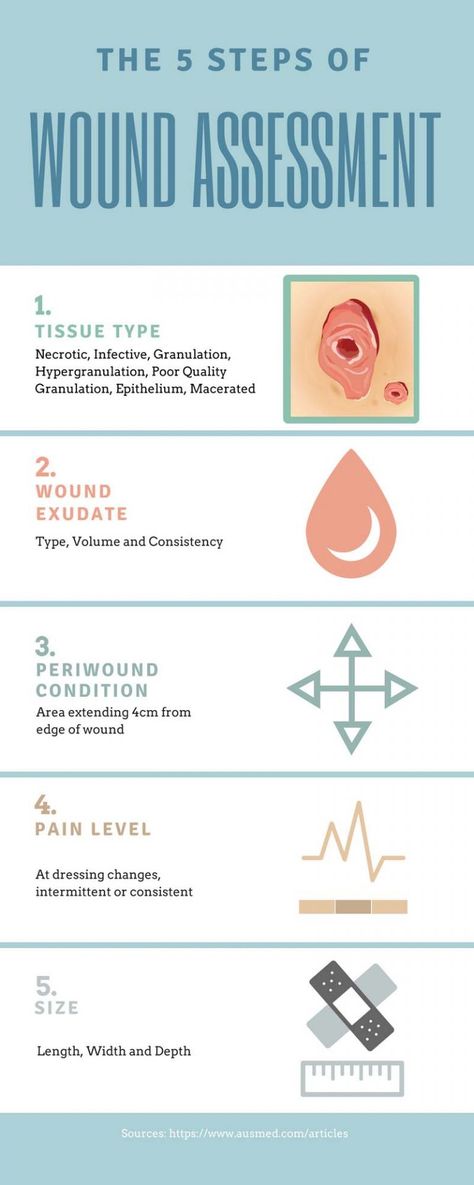 Ausmed's Wound Care and Wound Healing Guide for Nurses Infographic Wound Assessment Wound Assessment, Nursing Infographic, Wound Care Nursing, Healing Guide, Nursing Skills, Nursing Assessment, Hospice Nurse, Nursing Student Tips, Nursing School Survival