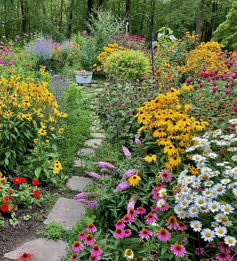 Flower Gate, Vegetable Garden Layout Design, Prairie Garden, Backyard Flowers, Japanese Garden Design, Cottage Garden Design, Magic Garden, Cottage Gardens, Garden Park