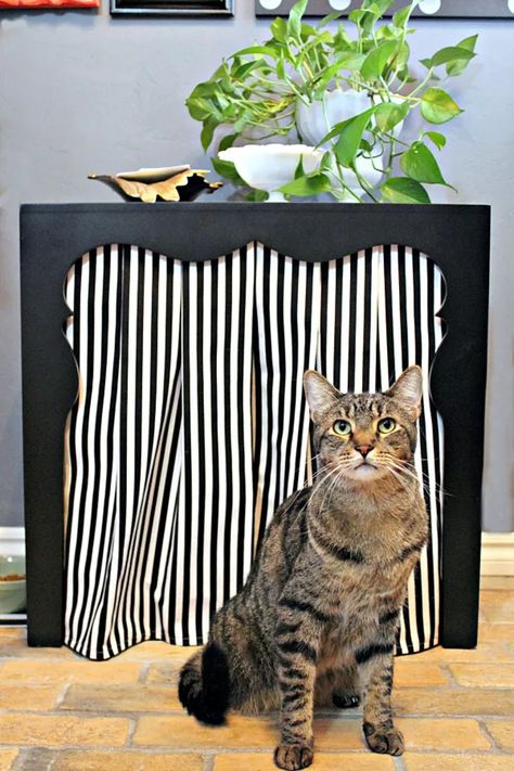 Diy Kitty Litter, Hiding Cat Litter Box, Cat Litter Box Ideas, Diy Litter Box, Hidden Litter Boxes, Litter Box Ideas, Litter Robot, Litter Box Covers, Chest Ideas