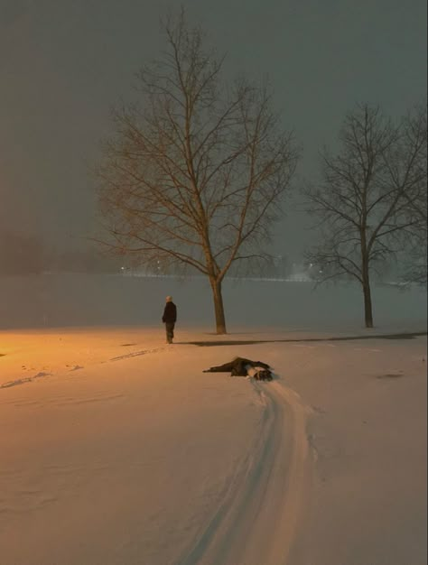 Snow At Night, The Snow, At Night, Walking, Trees