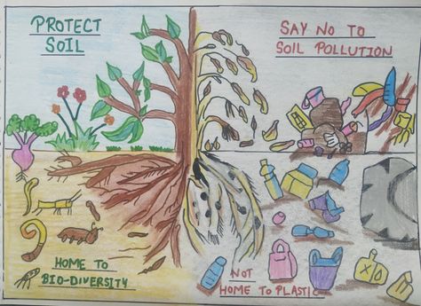 Protect soil # say no to soil pollution#Save soil Living Soil Poster, Soil Conservation Drawings, Soil And Water Conservation Poster Ideas, Soil Pollution Images For Project, Save Soil Poster Drawing, Soil Pollution Poster Drawing, Save Soil Drawing, Soil Pollution Poster, Save Soil Posters