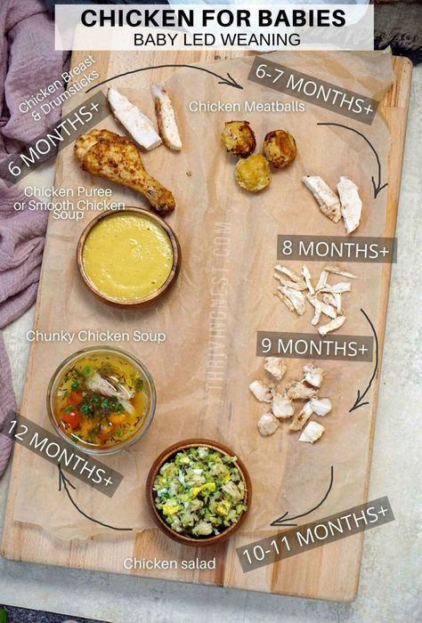 Chicken Blw Baby, Blw Chicken Recipes, Baby Led Weaning First Foods 6 Months, Blw Chicken, Baby Led Weaning Chicken, Chicken For Babies, Smooth Soups, Tiny Bellies, Baby Weaning Foods